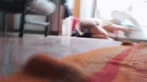 'VORE SEXY CAT DEBORA-FULL VIDEO'