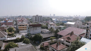 REAL THAI pulverized roomy