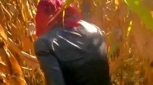 Climax in 30 seconds. Blowjob hump and hump in corn