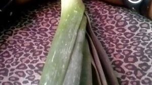 Orgasm thanks to the leek, big and long !! EXTREME INSERTION