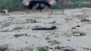 MILF gets fucked by her lover in public at the beach.