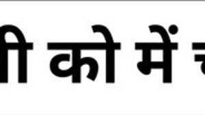 Indian desi poke