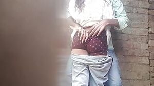 Indian desi college damsel intercourse - utter HD viral vid