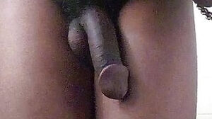 Faggy Sissy guy t-girl opening up bum cheeks and stroking gigantic ebony meatpipe